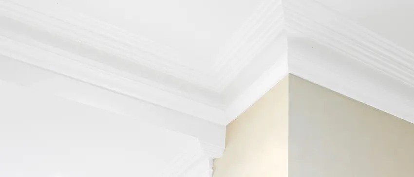 Plaster Ceiling Cornices Range