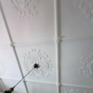 Looking at the finished ceiling from installation, right back to the original damaged and aged panels!

Our team specialises in custom restorations and mould-making to bring your project back to life 🌟

Enquire with us today!

#allplasta #restoration #ceilingpanels #decorativeplaster #ceilingdesign